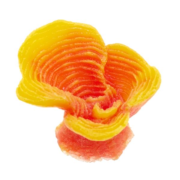 krr@vJTS@X[R[@sq|PT@n