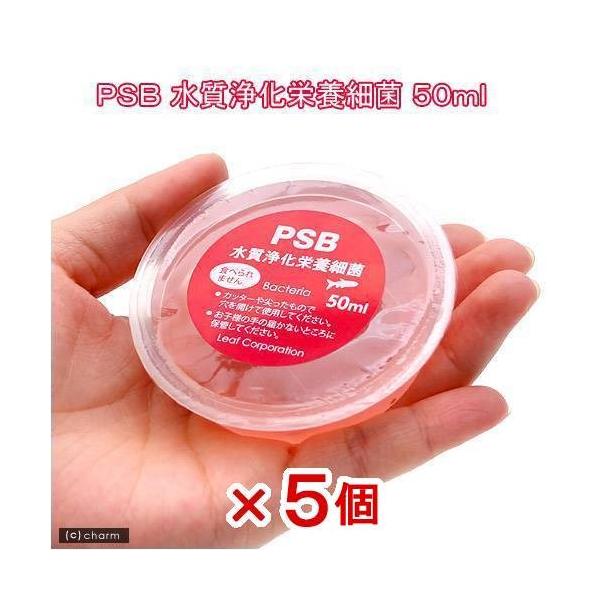 ｌｅａｆ ｐｓｂ 水質浄化栄養細菌 小 ５０ｍｌ ５個セット 光合成細菌 淡水用 バクテリア 熱帯魚 観賞魚 チャーム Charm Paypayモール店 通販 Paypayモール