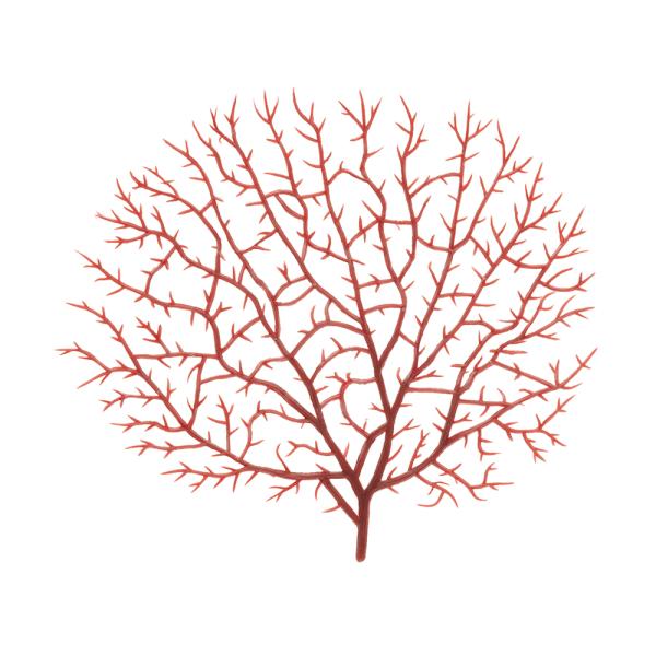 krr@vJTS@V[t@@sq|P@q