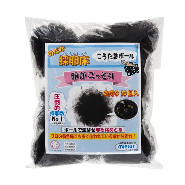 ~vX@낽܃{[@߂̗@sxod|`@m[}@POo