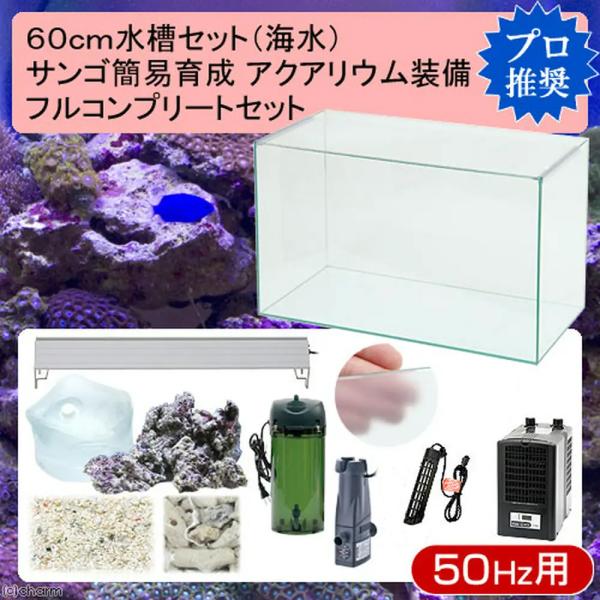 海水魚スターターセット 水槽セット | 熱帯魚・水槽・飼育セットの通販なら【トロピカル