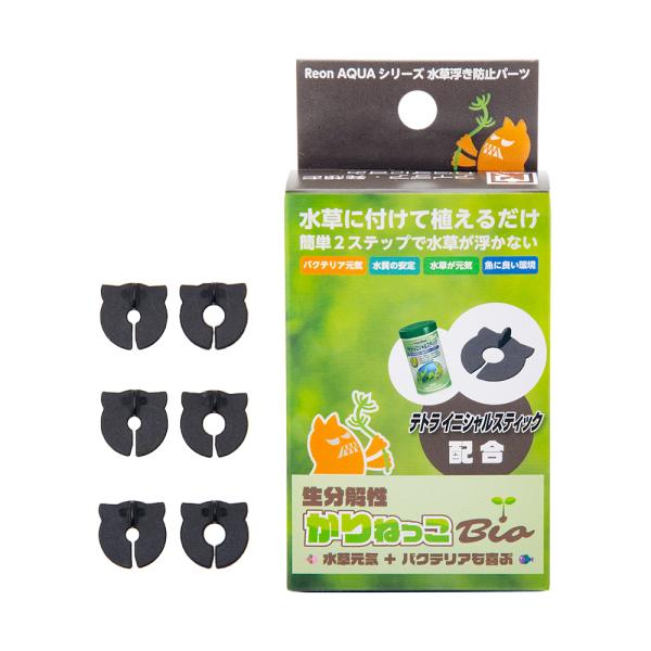 qdnm@`pt`@˂@a@At⏕