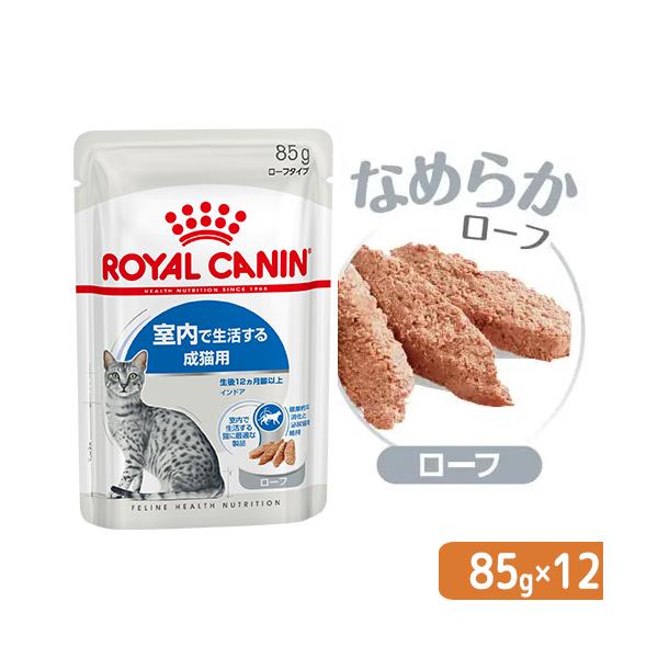 メーカー：ロイヤルカナン _neko　ロイヤルカナン　ＦＨＮ−ＷＥＴ　室内で生活する成猫用　インドア　ゼリー　成猫用　室内猫　８５ｇ　9003579013915　キャットフード　プレミアムフード　フィーライン　ヘルス　ニュートリション　成猫...