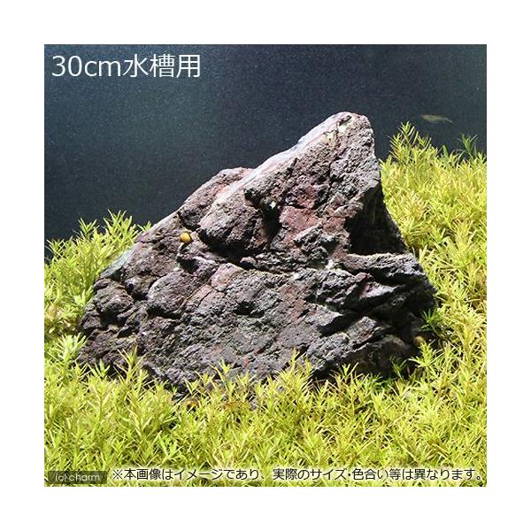 ijROp@xgiS}mnOTitji_jiTO{jR΁@Zbg@{Bl