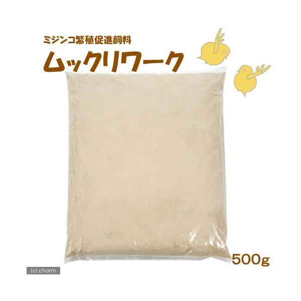 ~WR@~WRɐBi@bN[N@TOO@Ct]A