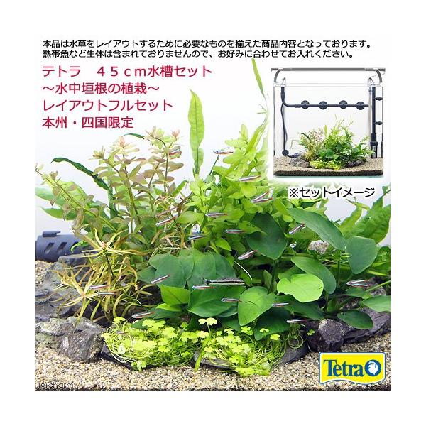 水槽セット 45cmの人気商品 通販 価格比較 価格 Com