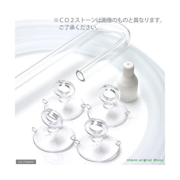 bnQgUZbg@~jbnQXg[{NX^WCgiik^RTOj