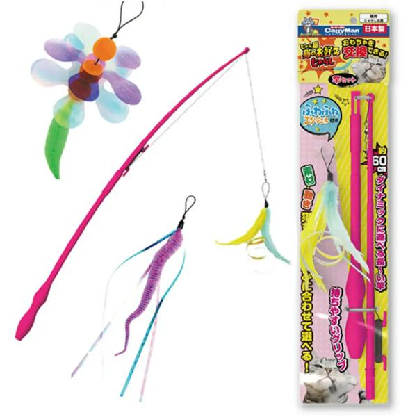 L炵@LeB[}@L@L̂D݂炵@Ɓp炵Zbg@L@@hM[}