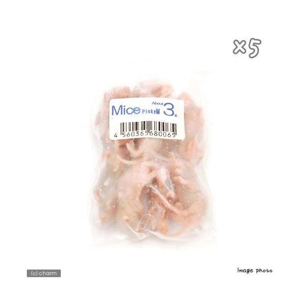 ⓀliPOCj@J^{B@lR@ⓀsN}EX@pbN×T@Ⓚ}EX@ʓrN[萔@퉷is