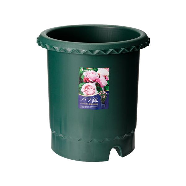 メーカー：リッチェル 鉢　植木鉢　ガーデニング用品　20160115　ari　セット　５個　_gardening　rosa_item　ガーデニング　リッチェル　バラ　roseitem_series　4973655716038　ベランダ菜園　...