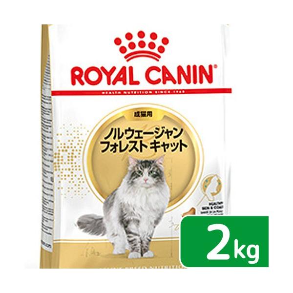 ノルウェージャンフォレストキャット ロイヤルカナン」の人気商品一覧
