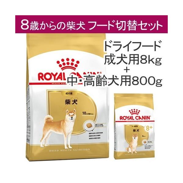 ロイヤルカナン 柴犬成犬用 8kg×2袋 - www.splashecopark.com.br