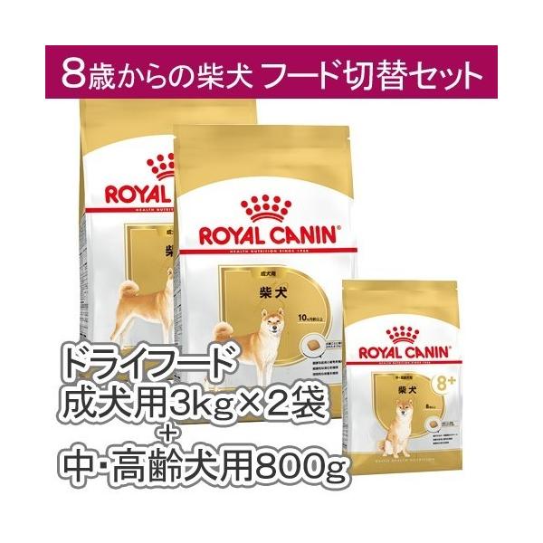  CANIN 柴犬用 415wAhJDX1L.jpg_BO30,255,255,