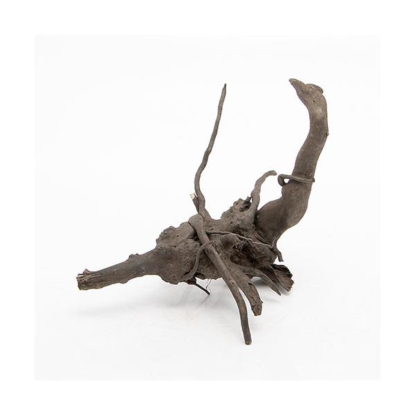 `󂨔C@ύݍς݁@[cEbh@lTCYiQT`RTj@P{@CAEgfށ@