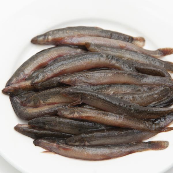 ⓀGT@Y@Ⓚǂ傤ijPOO@^@঒ށ@Y@F@ʓrN[萔@퉷is