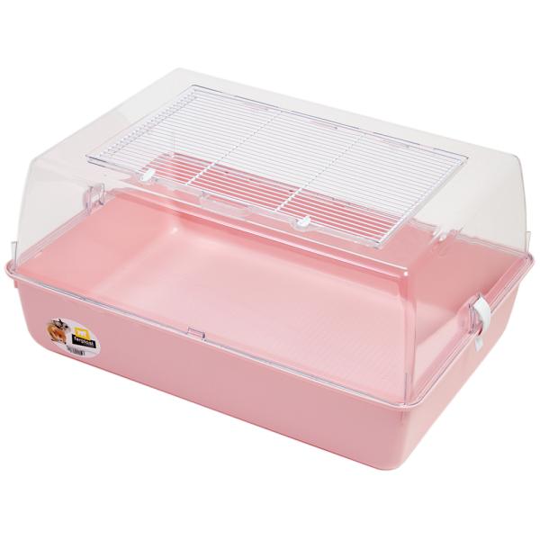 nX^[Q[W@t@[vXg@~jfi}eB@F܂iTT×RX×QVjnX^[@P[W