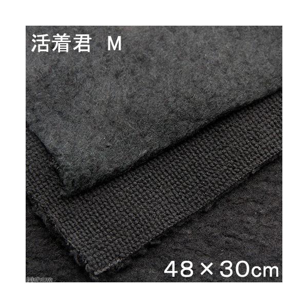 sN^@N@l@SW×RO@AĂz@eE@p_E@roE