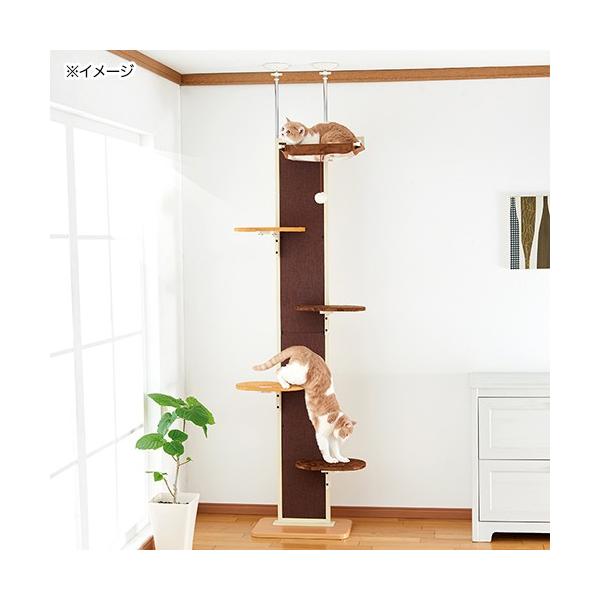 おすすめ ボンビアルコン Bonbi キャットウォーク モダン 猫用品 Indonesiadevelopmentforum Com