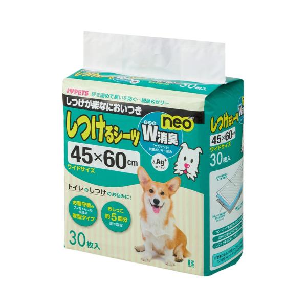 {rAR@V[cvL@Ch@RO@ybgV[c