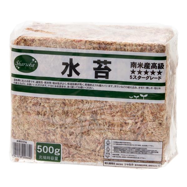 ہ@VJ@ĎYہ@TOO@ōTX^[iR`j