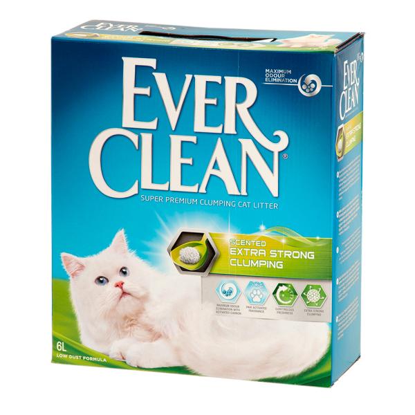 L@Go[N[@EF^Cv@Uk@gC@ł܂@xgiCg@llR_