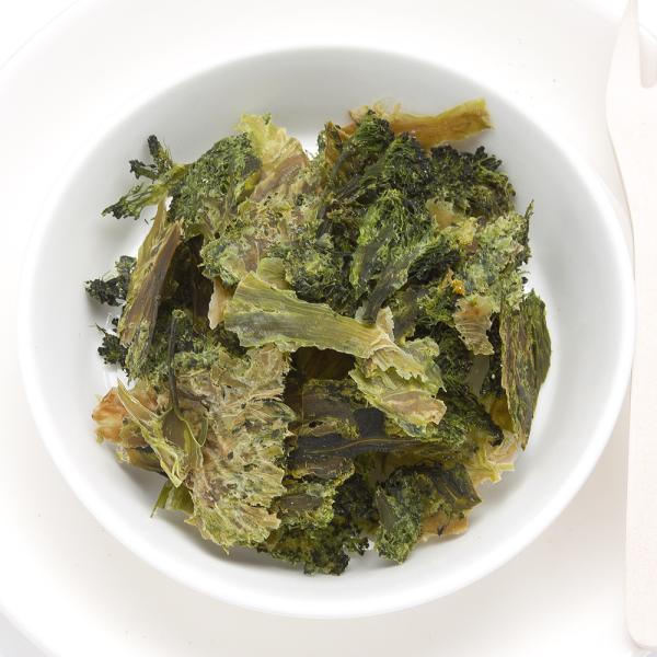 Y@ςςubR[POOt[N@QO@̂@@nX^[@Y@F