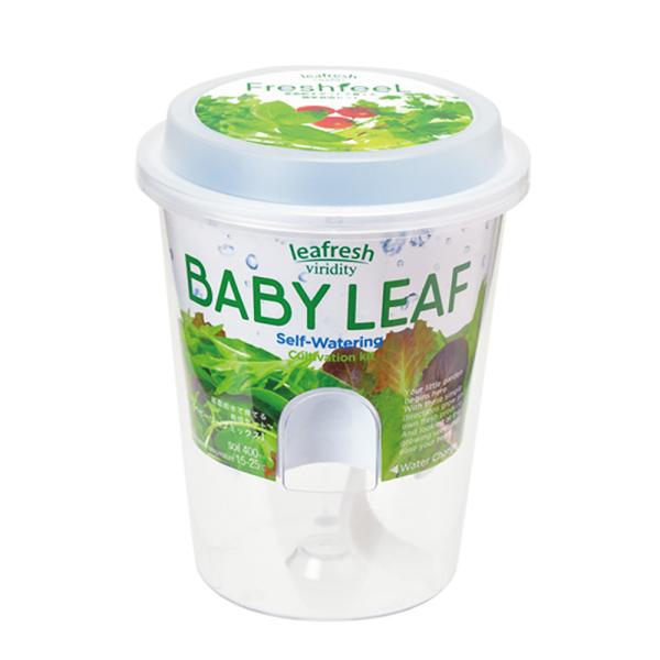 V|@tbVtB[@xr[[t~bNX@fc|WPX@͔|Zbg@ƒ؉@Mtg