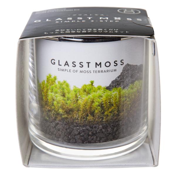 V|@OXgXr@RPeE@͔|Zbg@ƒ؉@Mtg@ہ@ۃeE