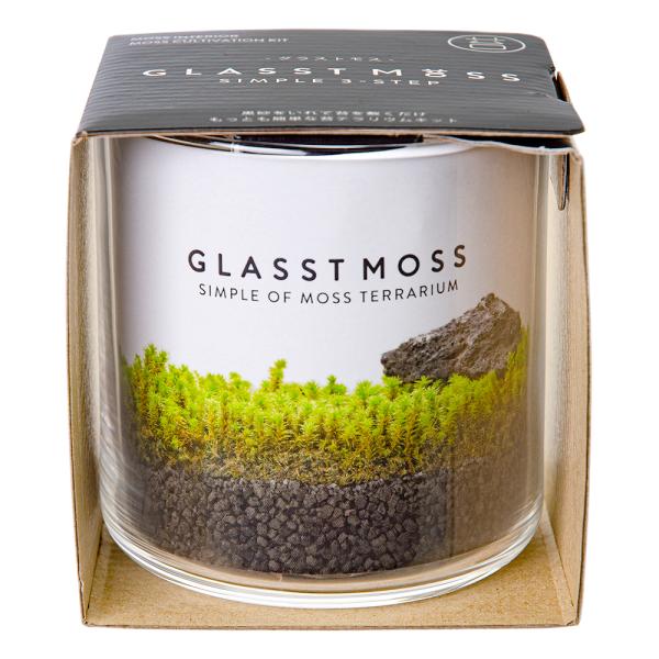 V|@OXgXk@RPeE@͔|Zbg@ƒ؉@Mtg@ہ@ۃeE