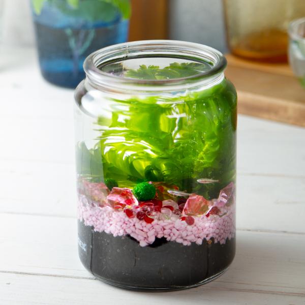 水 ボトル 熱帯魚 アクアリウム用品の人気商品 通販 価格比較 価格 Com