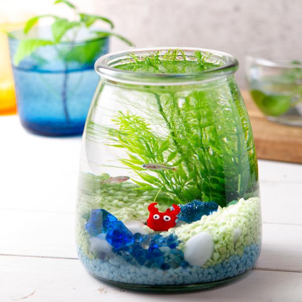 水 ボトル 熱帯魚 アクアリウム用品の人気商品 通販 価格比較 価格 Com