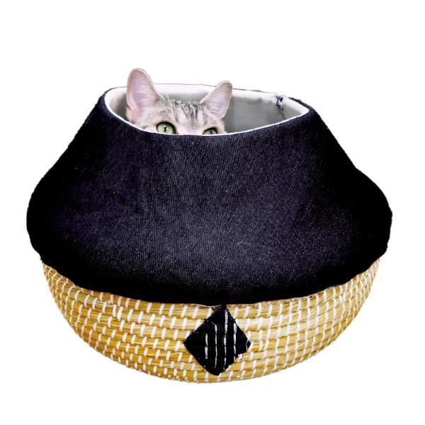 LeB[}@ɂ񂱂̃fj@egoXPbg