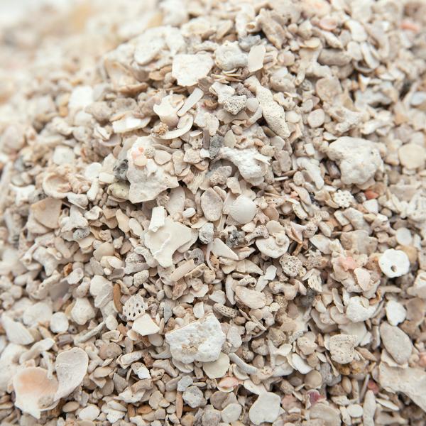 Đς݁@bDoDe@R[VF@QiP×QjiPDUkj@JVEAN^[p@Cpꍻ@܂t