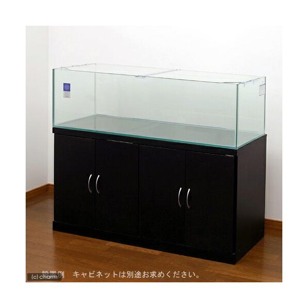 10 水槽の人気商品 通販 価格比較 価格 Com