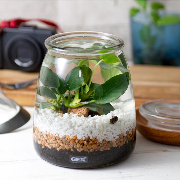 水草 飼育 水槽の人気商品 通販 価格比較 価格 Com