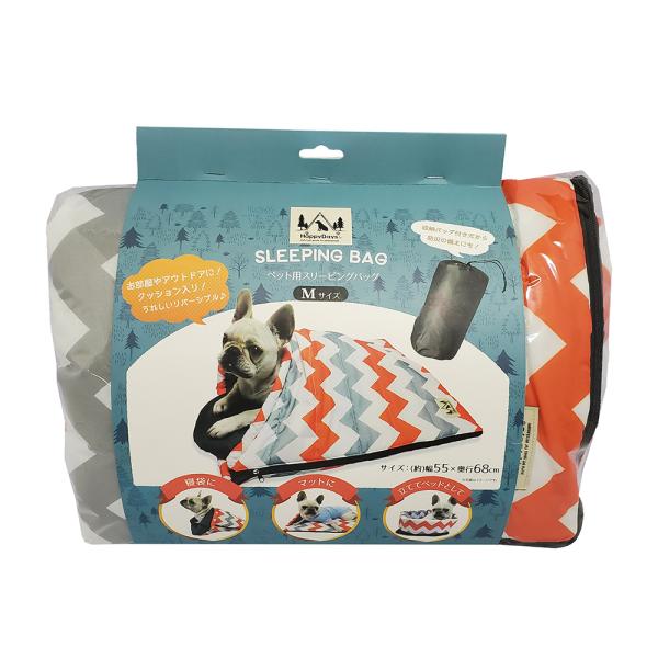 AEgbgi@gc@ybgp@X[sOobO@l@VFu@󂠂