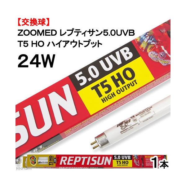 @ynnldc@veBT@sTnCAEgvbg@TDOtua@QSv@iaPDTT×TTj