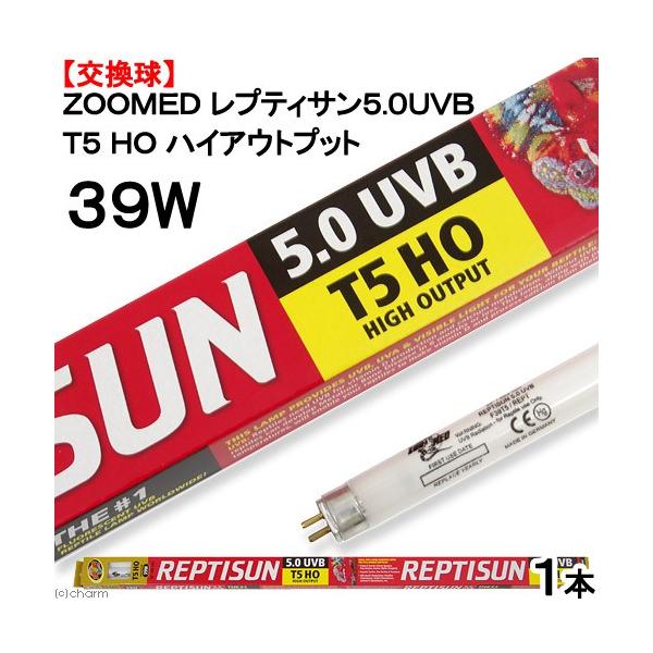 @ynnldc@veBT@sTnCAEgvbg@TDOtua@RXv@iaPDTT×WTj@O@tu