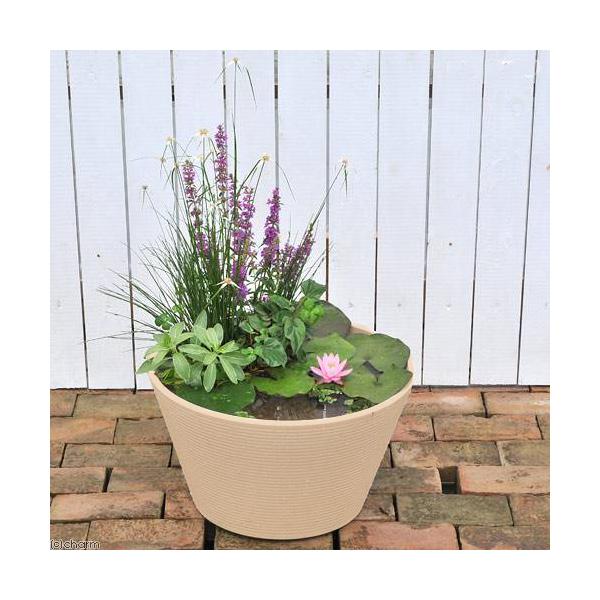 irIg[vji߂j͂߂Ă̐@Zbg@@{_J@x[W{q_J{@t@IWi@{Bl