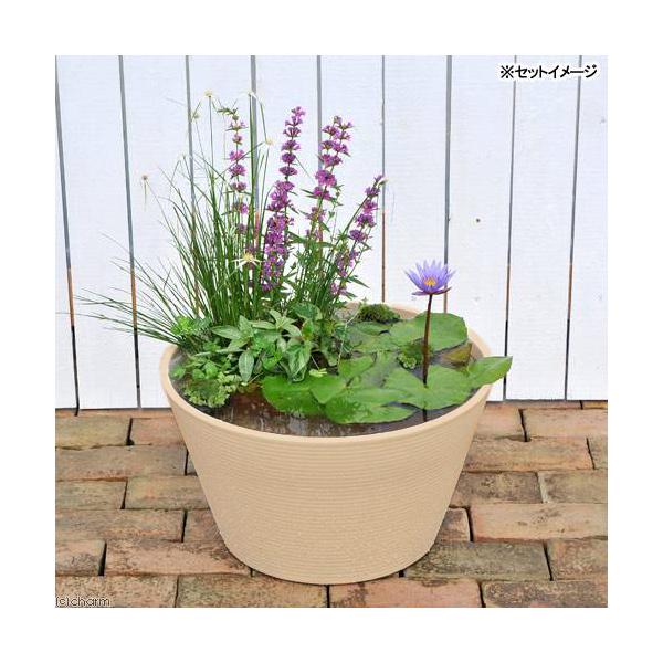 irIg[vji߂j͂߂Ă̔Mѐ@Zbgi@{@x[W{q_J{j@PZbg@{Bl