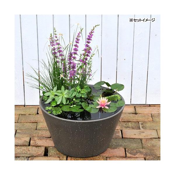 irIg[vji߂j͂߂Ă̐@ZbgiP@{_J@O[{q_J{j@PZbg@t@{Bl