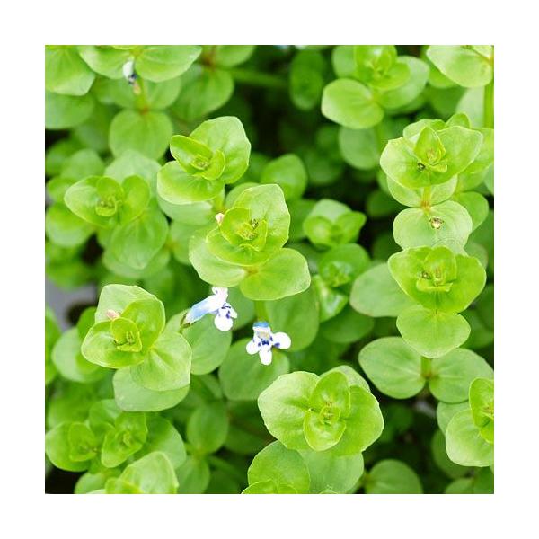 ijh}AR_[^itji_jiQO{j