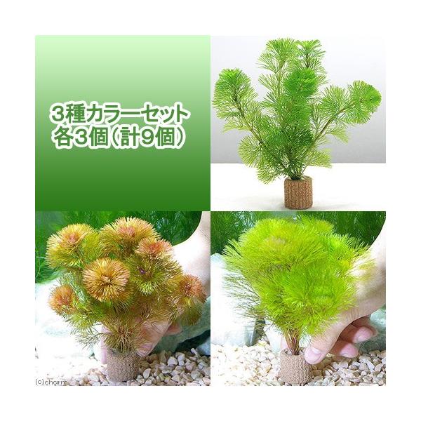 ij_JE@Ct}`ijJ{o@RJ[Zbg@eRivXj