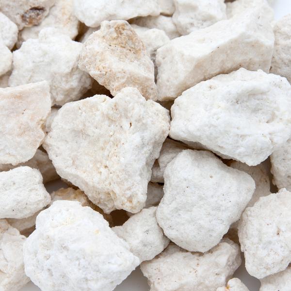 ς݁@bDoDe@@@΃TSfBA@kTCY@RiP×Rj@JVEAN^[p@܂t