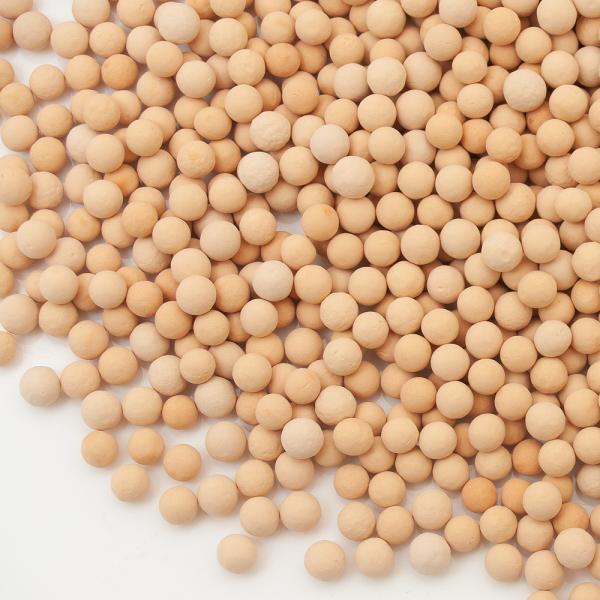 Čߍށ@΂܁@[ICg@aV@PDTkiTOOk×Rj@AjAz@zCIz