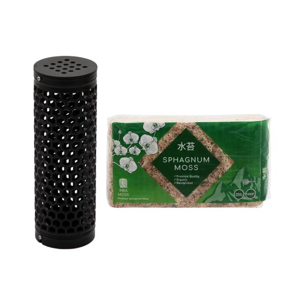 x@t@^XeBbNubN@ۃy[YPTOk^Cv@Zbg