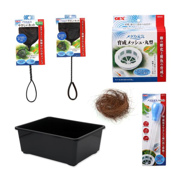 `[IWiZbg@_JEɐBZbg@eiXpi{t