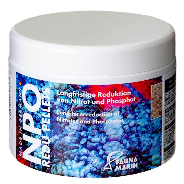 el@mon@qdct@odkkdsr@RTO@oCIybg