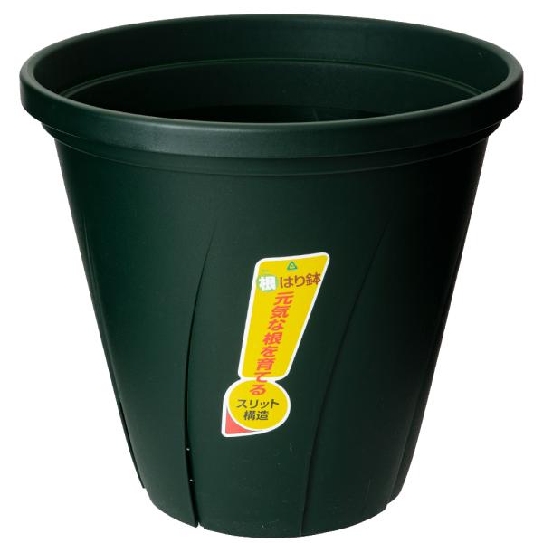 @avX`bN@͂蔫@PO@_[NO[