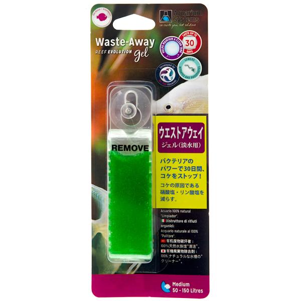 ivR@EGXgAEFC@WF@Wl@iPTOkȉj